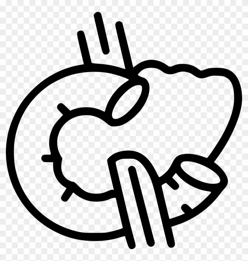 Png File - Pancreas #1279480