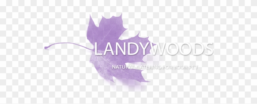 Logo #1279559