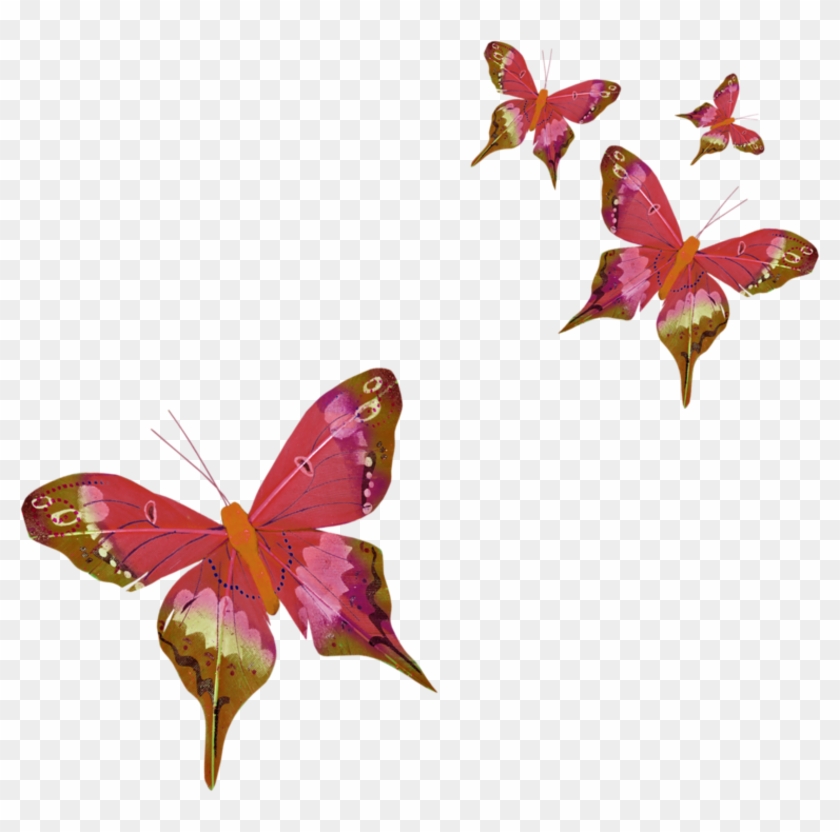 Volodifarfalle Volodifarfalle1 - Tubes Papillon Png #1280069