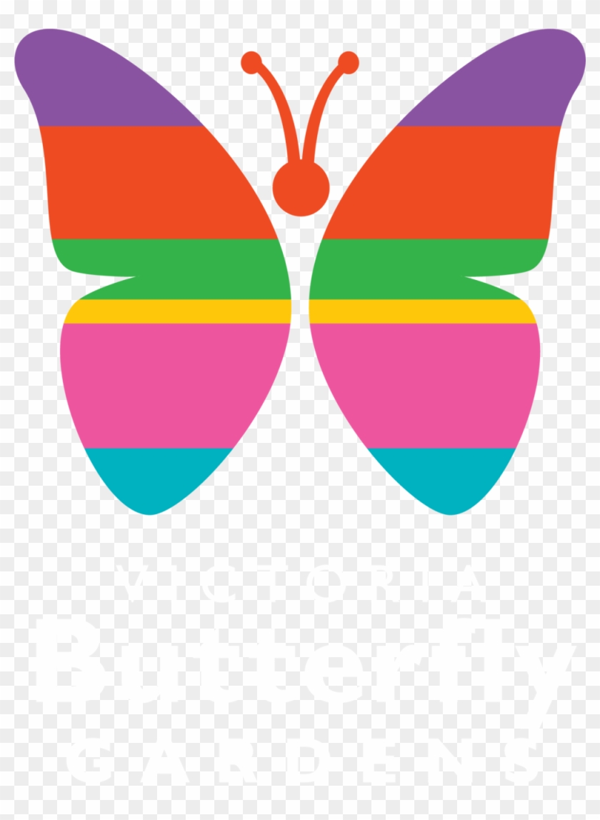   Butterfly #1280239