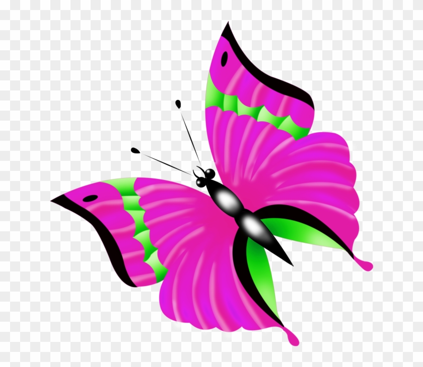 Красочные Бабочки - Clipart Butterflyes #1280344