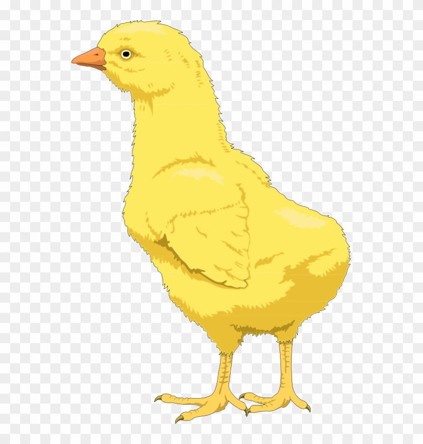 Free Vector Bird - Bird #1280437
