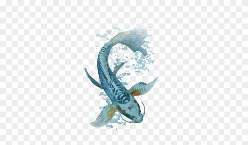 Your - Koi #1280447