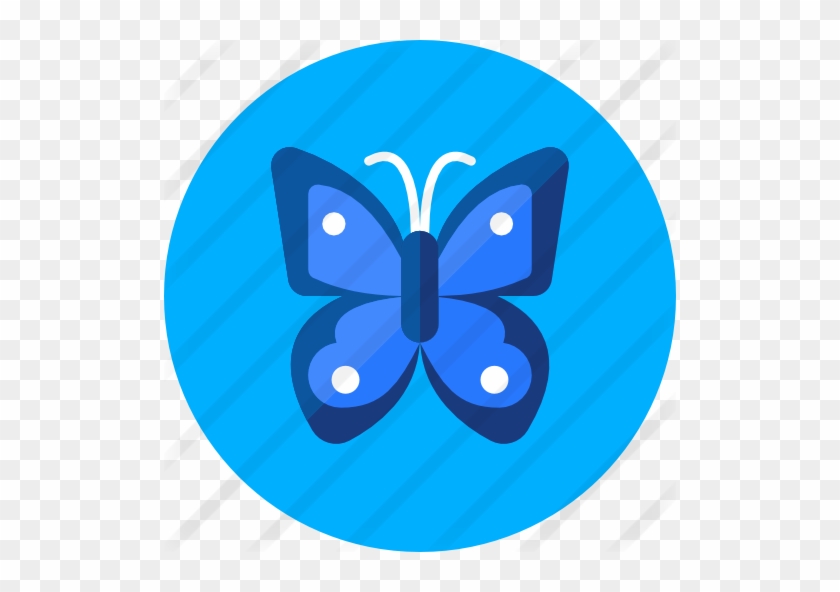 Butterfly - Technology #1280488