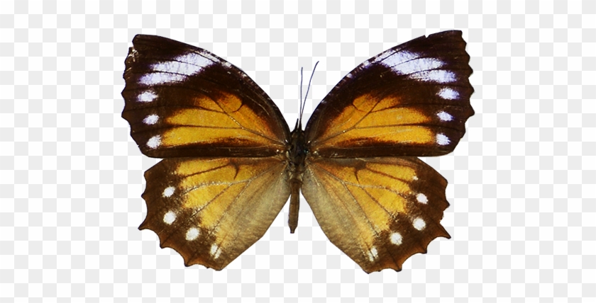 1 - 1 #1280737