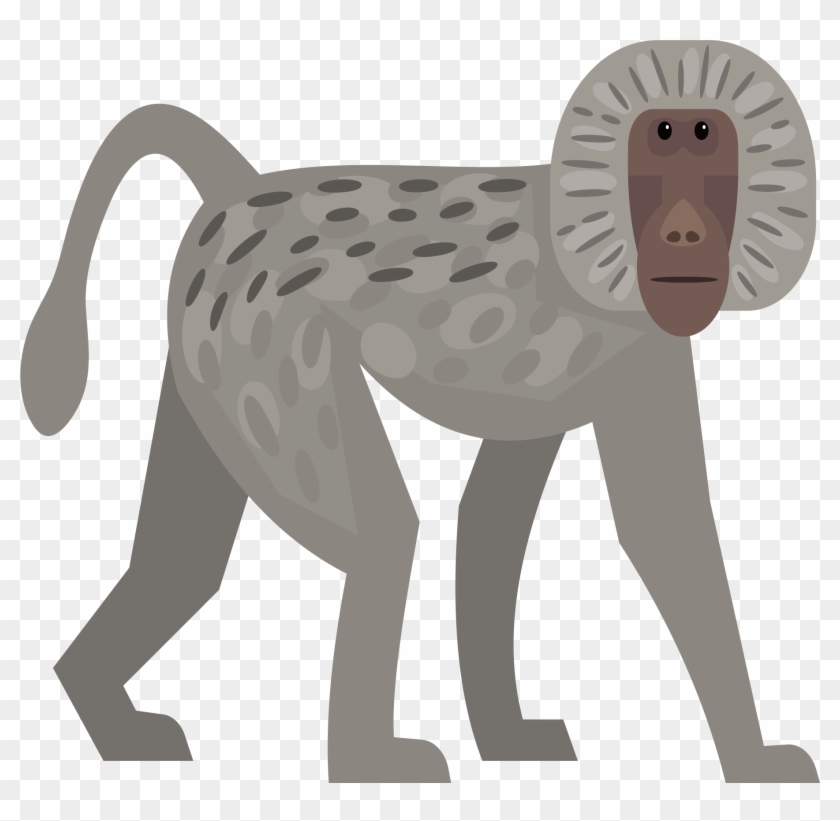 Euclidean Vector Monkey - Euclidean Vector #1280786