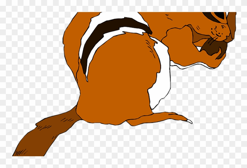 Squirrel Vector Graphics Pixabay Download Free Images - Chipmunk #1282089