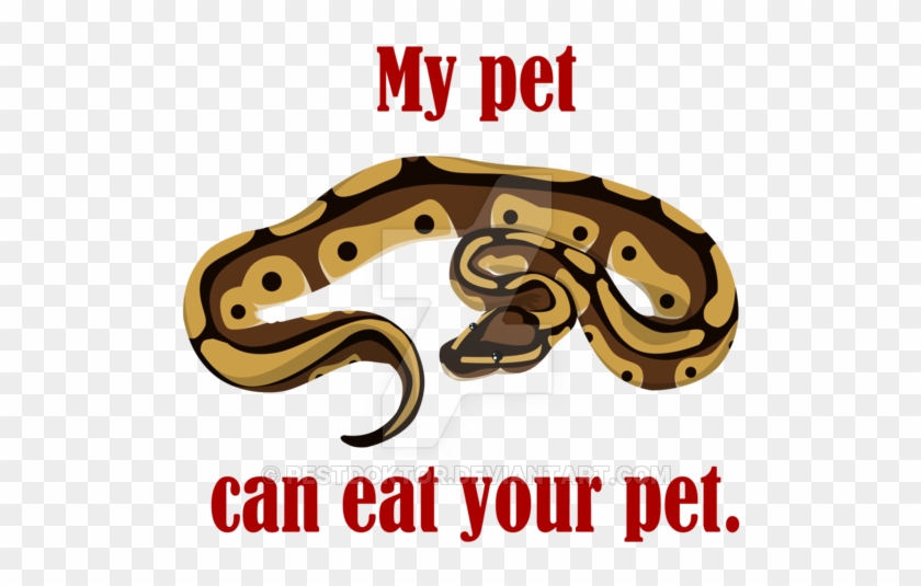 Hugs And Hisses Ball Pythons By Nadilynbeato On Deviantart - Cute Ball Python Drawing #1282163