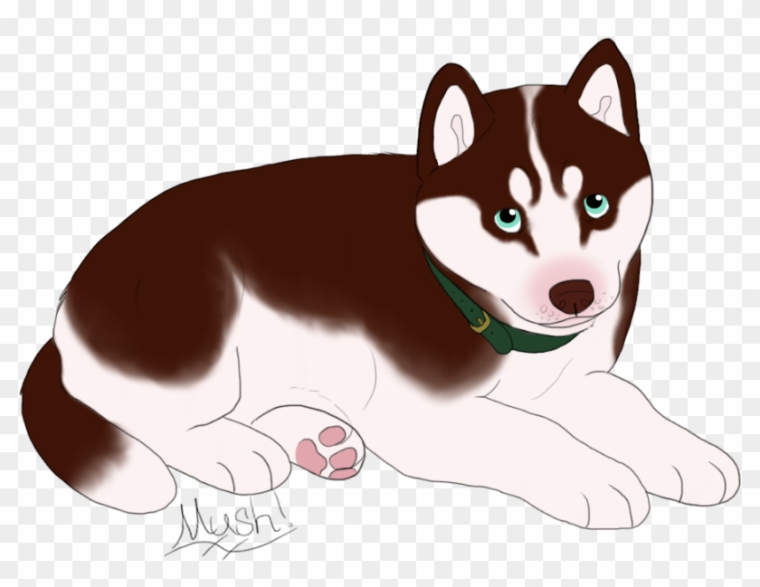 Copper Colored Husky With Light Aquamarine Eyes And - Mackenzie River Husky #1282168