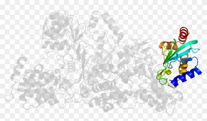 Clip Art - Design - Illustration #1282820
