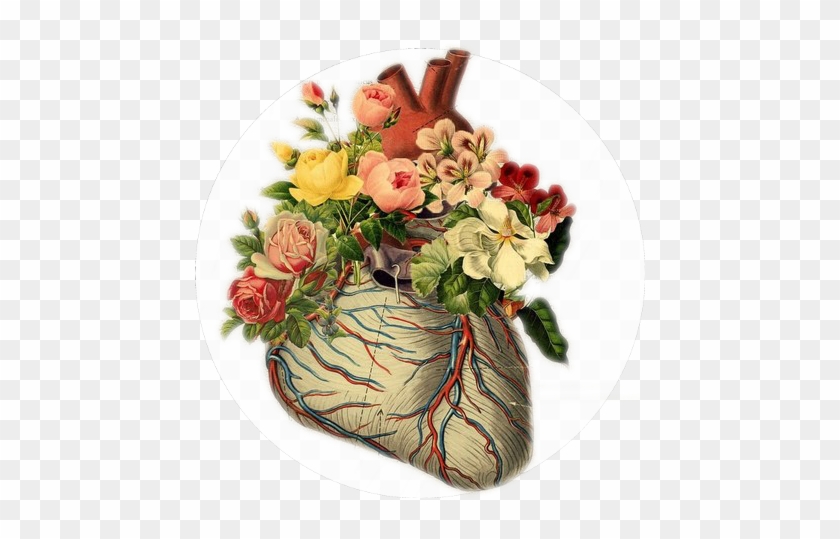 Colour, Heart, And Transparent Image - Colour, Heart, And Transparent Image #1283340
