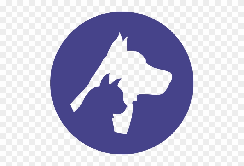 Dog #1283973