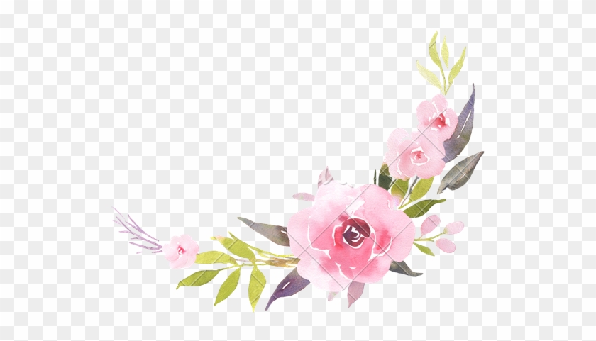 Rose #1284193