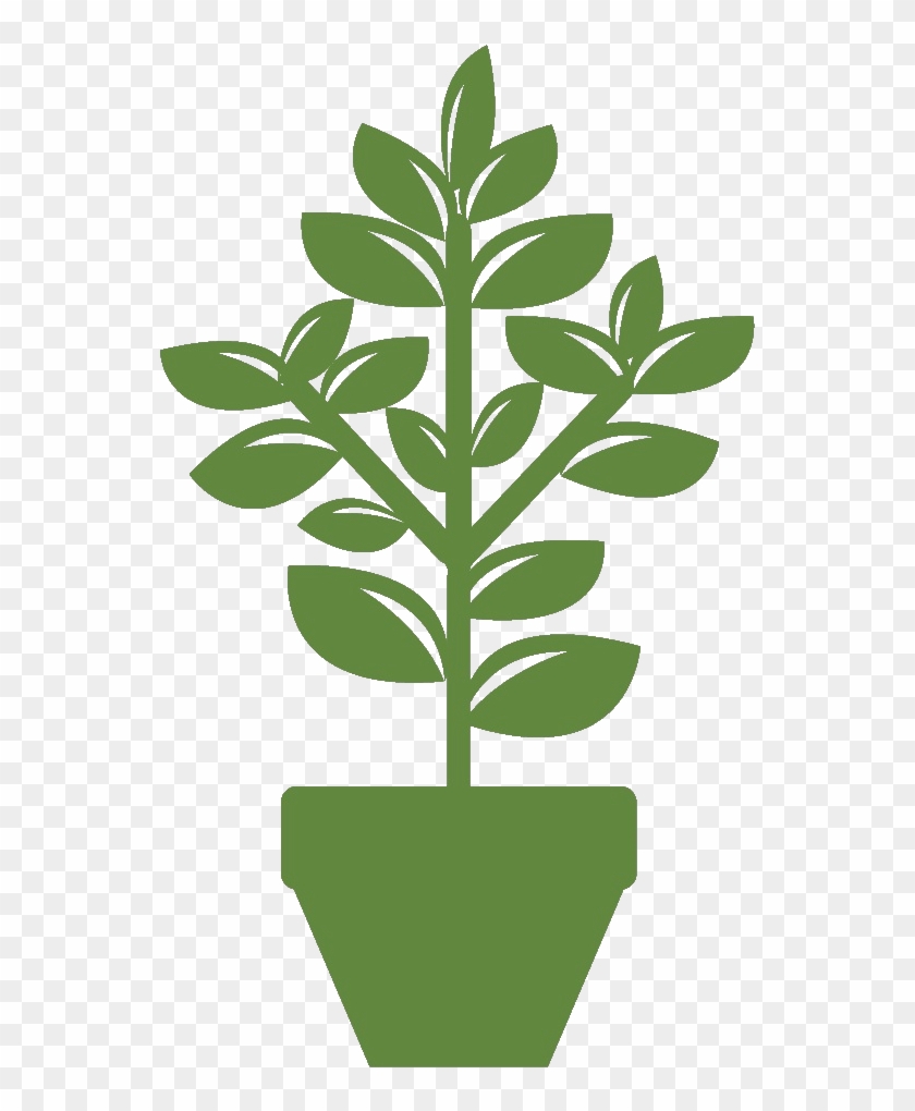 Healthier Indoor Plants - Plants #1284770