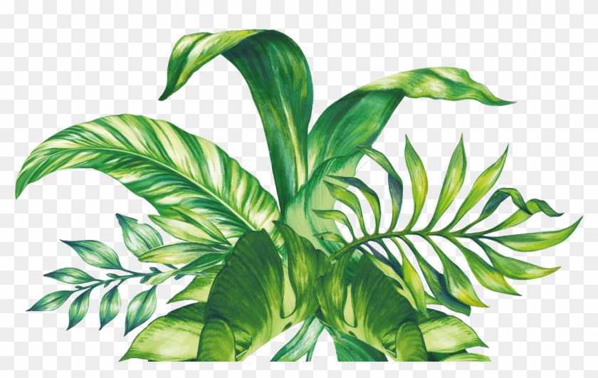 Pretty Leaves - Pretty Leaves #1284795