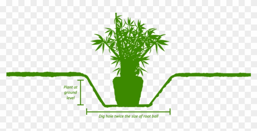 Planting - Illustration #1284849