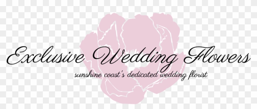   Wedding #1285841