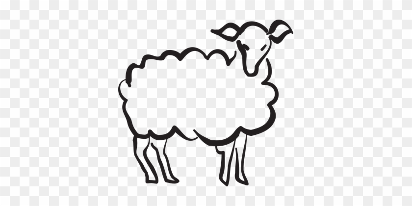Lamb Stylized Style Animal Cartoon Drawing - Animals Stylization #1285903