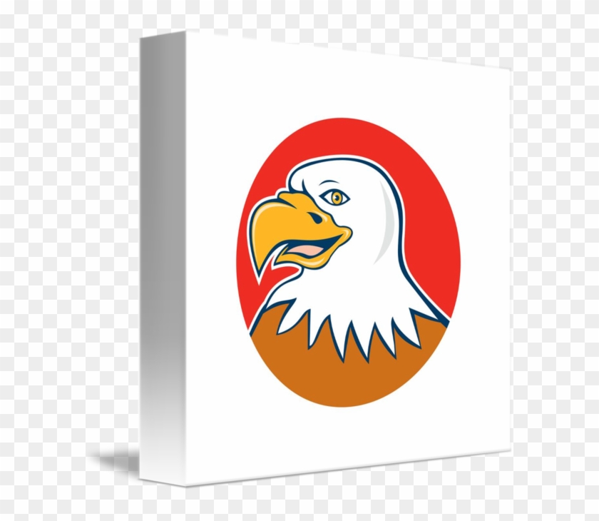 Bald Eagle #1286631