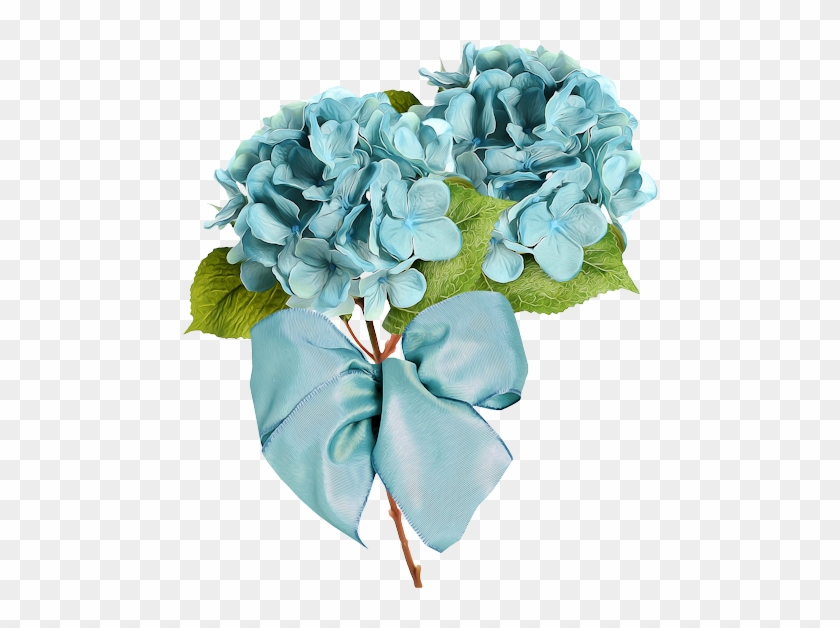 Hydrangeas - Flower #1286683