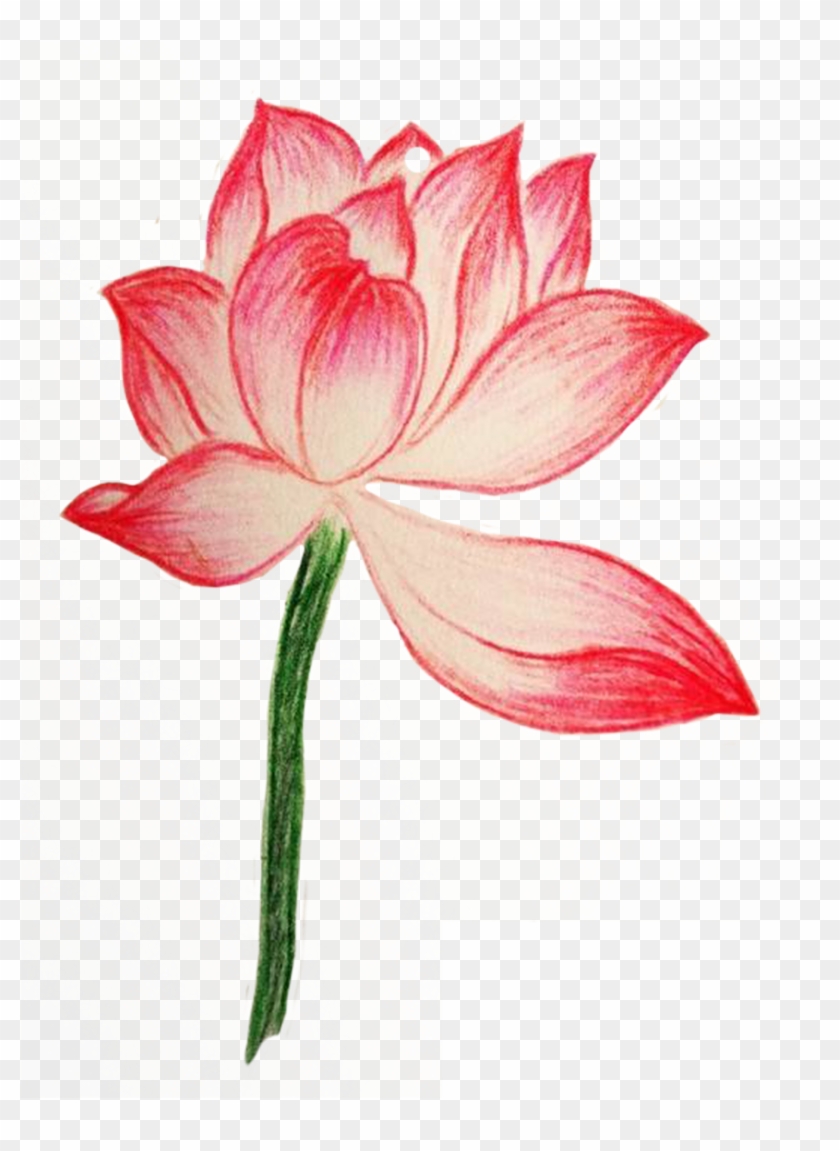 Drawing Painting Colored Pencil - Drawing #1286854