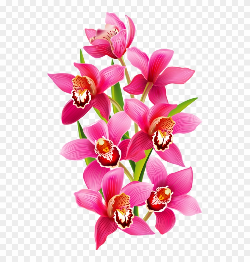 Vector Graphics #1286912