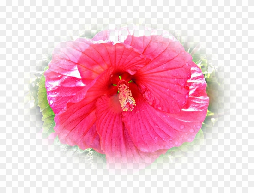 Image3 9 - Royalty-free #1288186