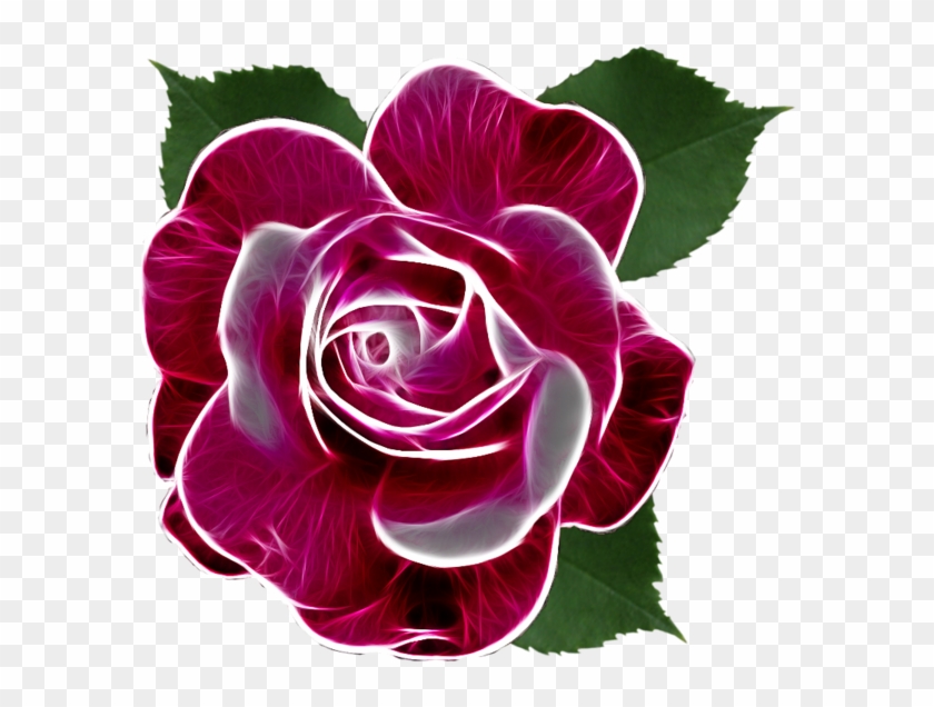 Roses,pink,roze,rosa, - Portable Network Graphics #1288223