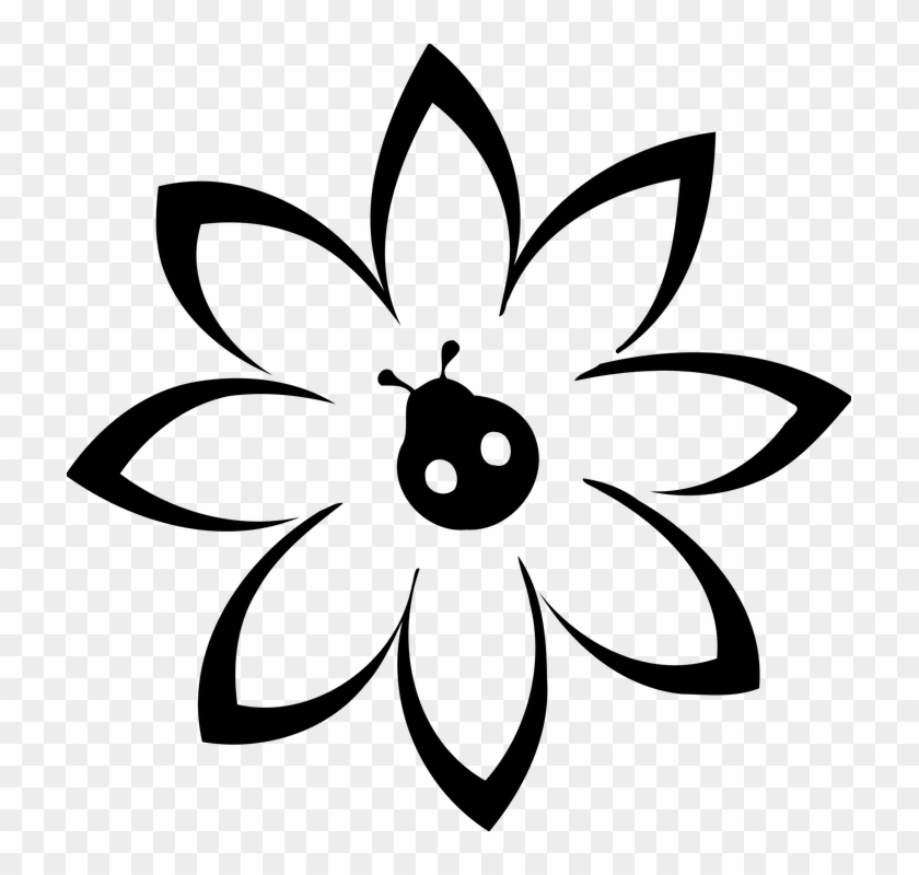 Ladybird #1288598