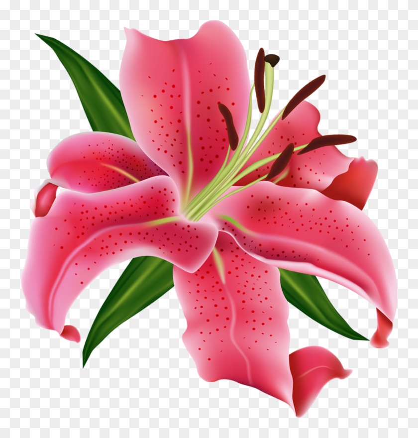 Цветы,букеты Пнг - Clip Art #1289101