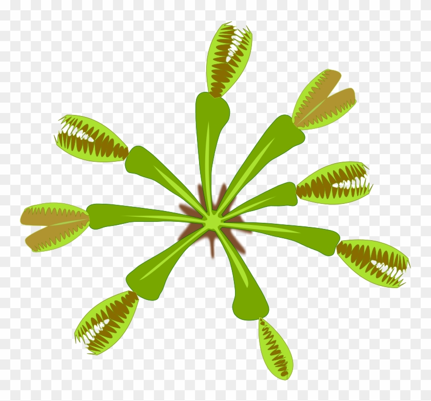 Similar Clip Art - Png Dionaea #1289469