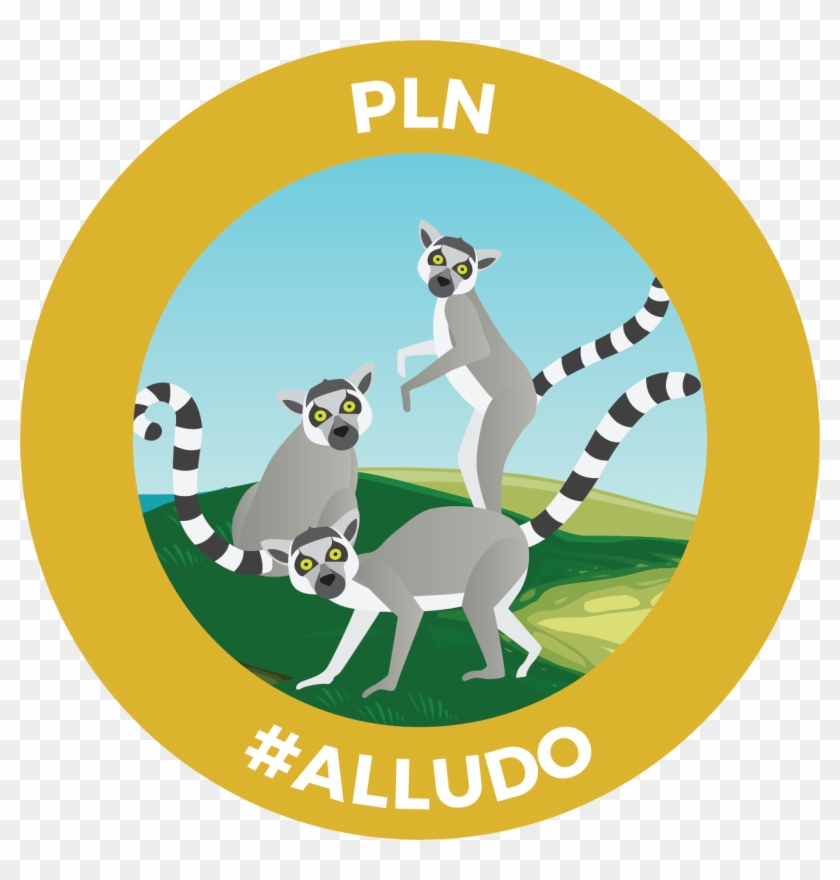 Learn More About Alludo - Kangaroo #1291010