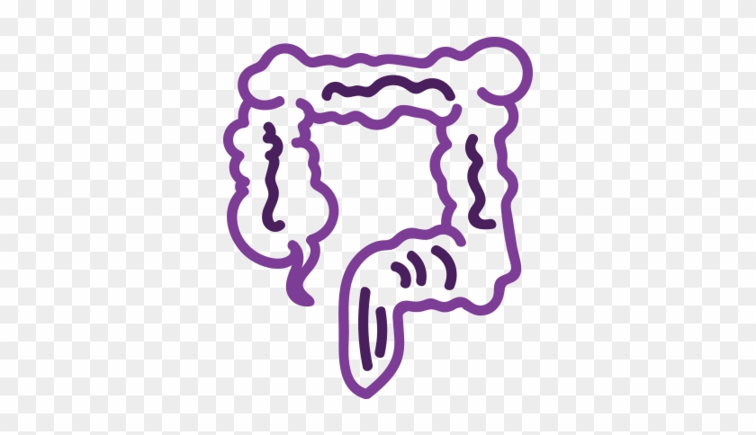 Signs I Should Cleanse My Colon - Large Intestine #1291172