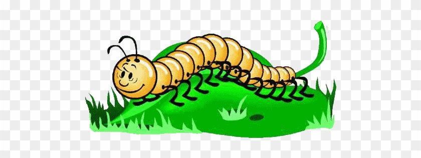 Millipede Clipart Cartoon - Centipede Clipart #1291760