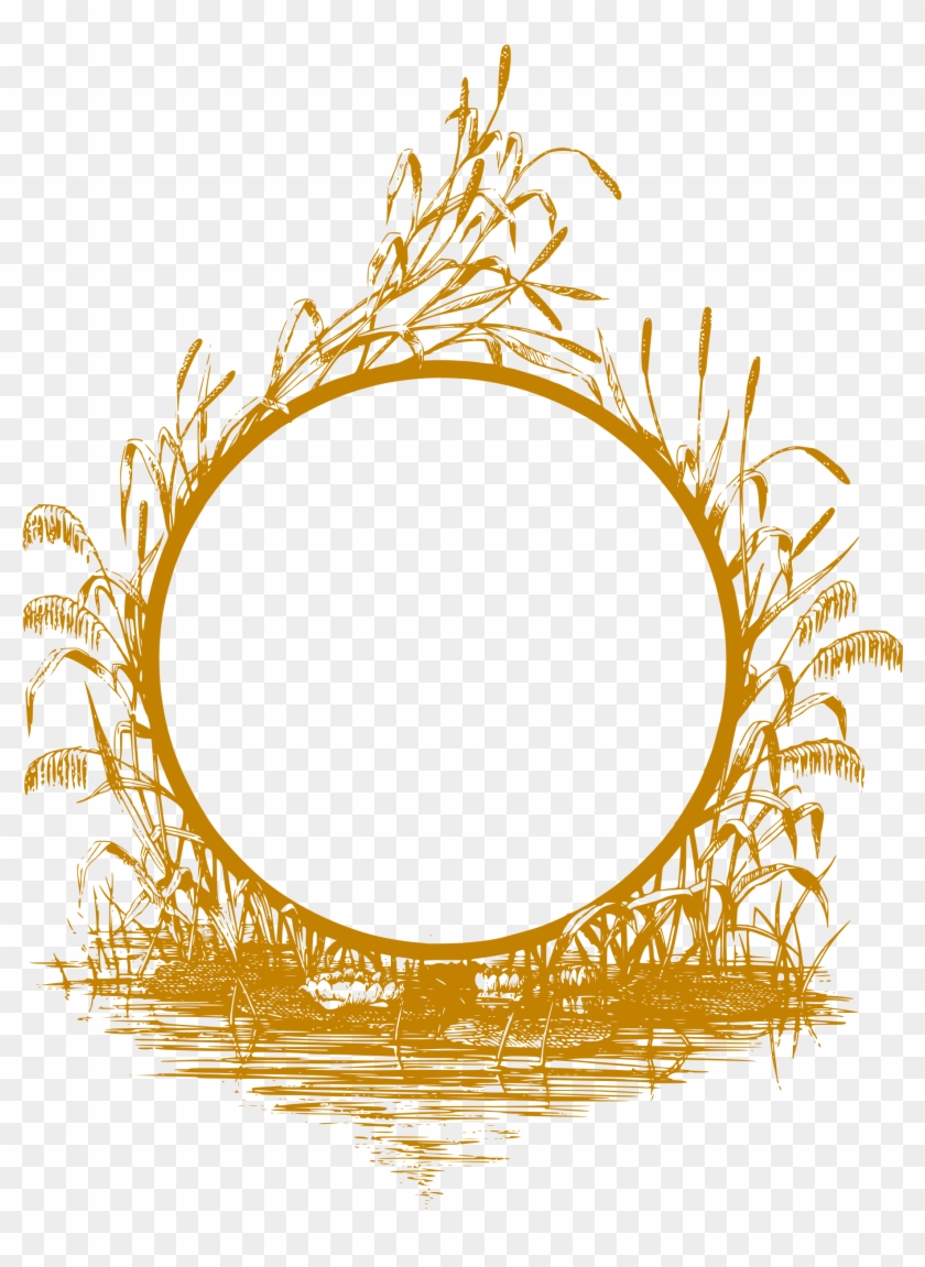Reedsframegolden - اطار ذهبي Png #1292443