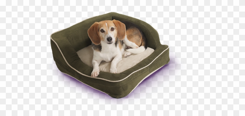 We Will Love Our Stay Away From Home - 95067 Morbidissima Cuccia In Pile Per Animali Sleep #1292721