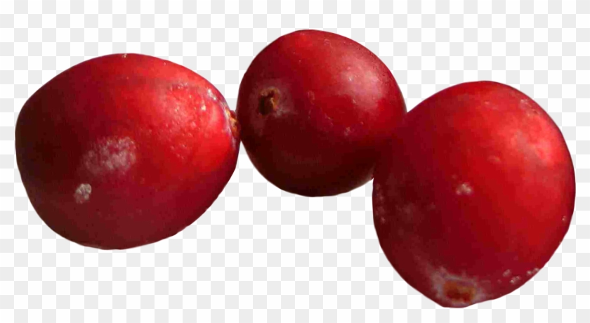 Cranberry Png #1293156
