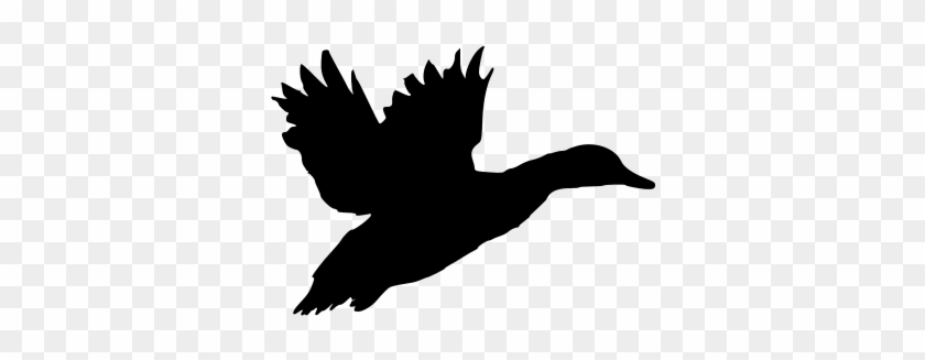 Duck Silhouette - Hunting #1293349