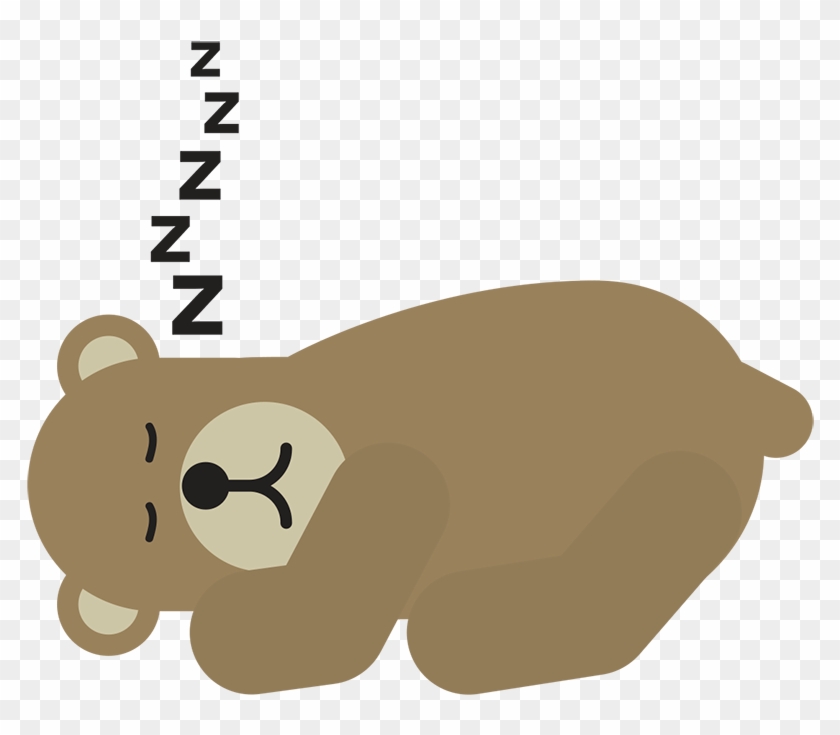 Transparent Hibernating Bear #1293588