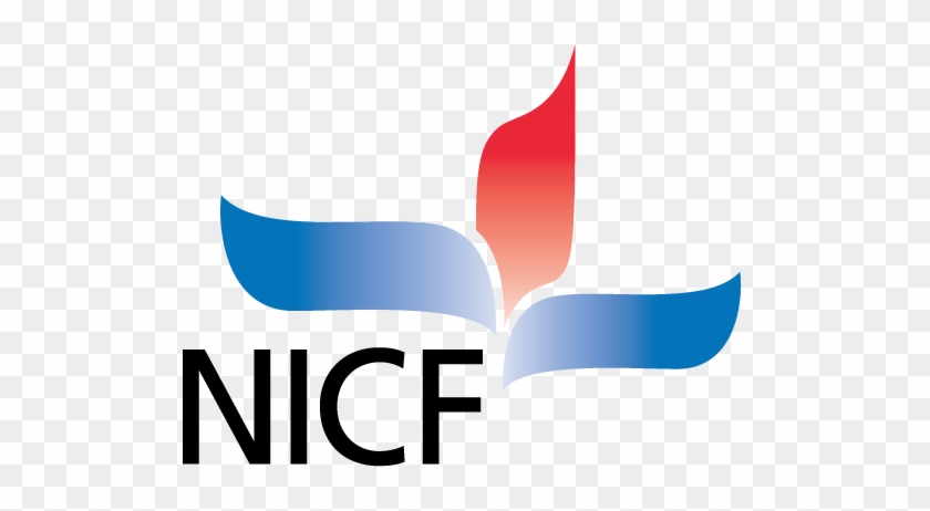 Nic Foundation - Foundation #1293916