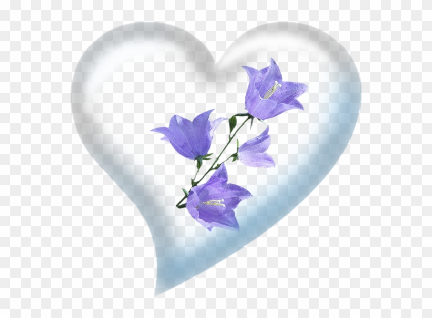 8d3cf107 - Clip Art #1294156