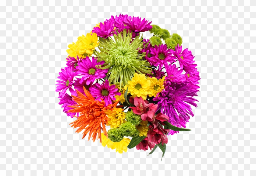 Fresh Flowers In Publix Pura Vida - Common Zinnia #1295614