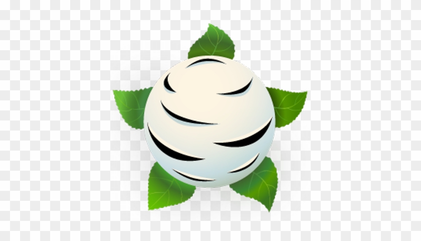 Birch Grove Software - Software #1295937
