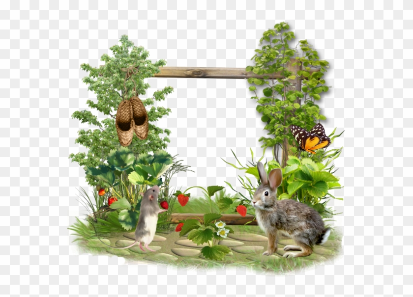 Cadre Verdure #1296193