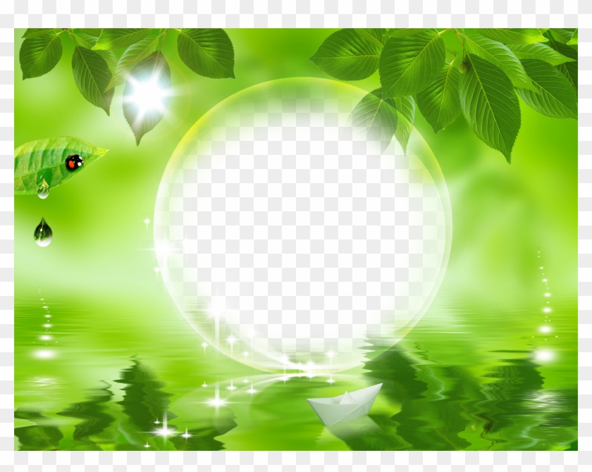 Picture Frames Photography Blog - Green Leaf #1296209