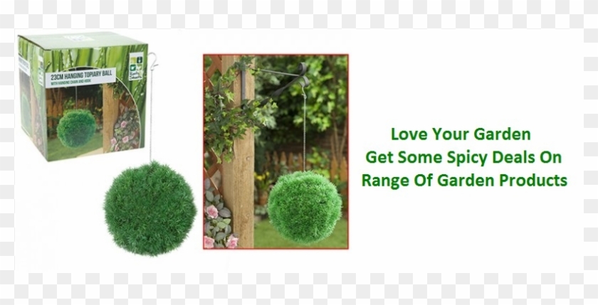 Travel 6 - Roots & Shoots 23cm Boxwood Buxus Artificial Hanging #1296580