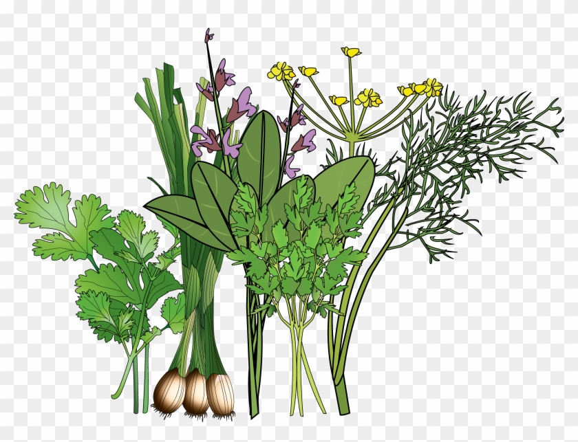 3×3 Spring-herb Garden - Buttercup #1296598