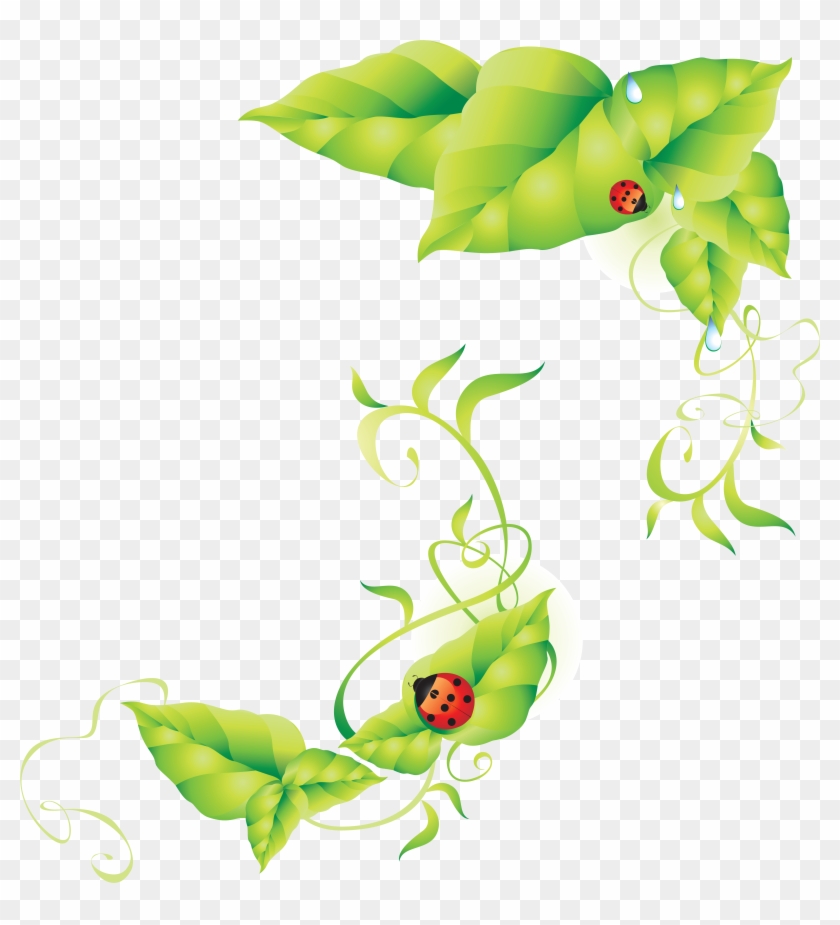 Назад, Божьи Коровки 6 - Green Background Vector #1297477