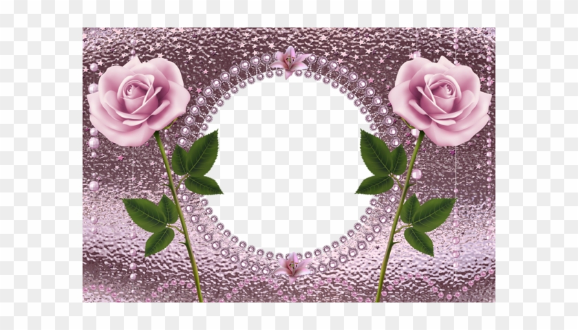 Molduras, Rosas Cor De Rosa, Planos De Fundo - Pink Rose Frames #1298158