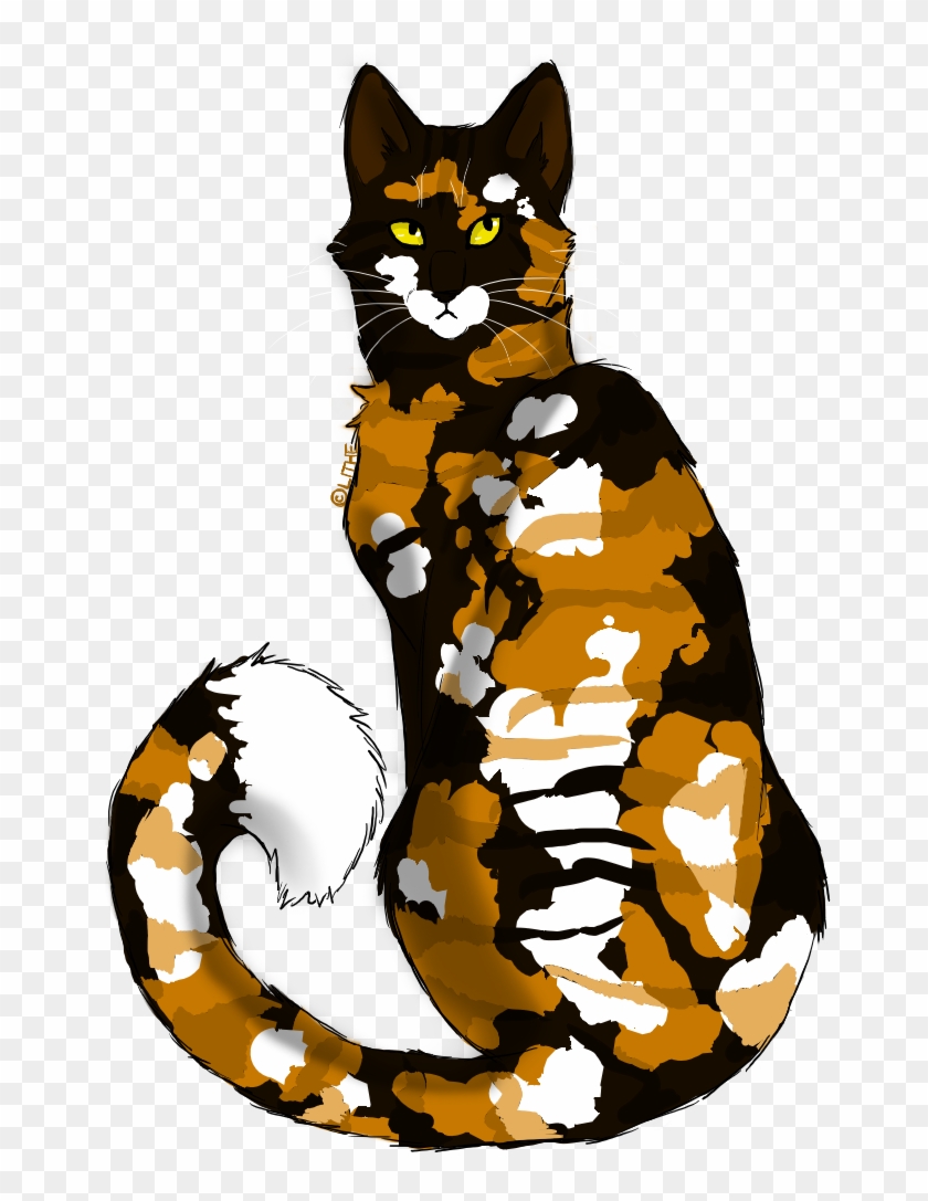 Epic Sol By Lithestep - Tabby Cat #1298302